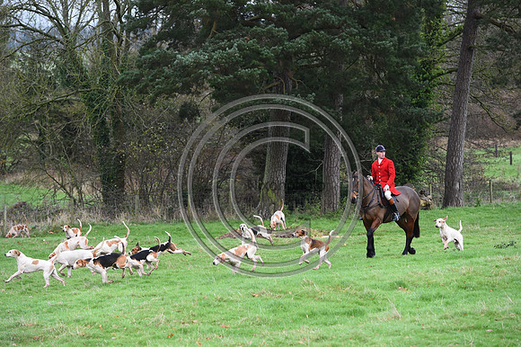 Ludlow_Hunting_33