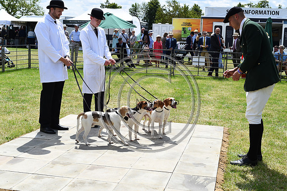 Festival of Hounds 2024
