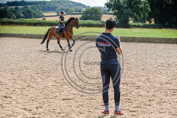 Collective Equestrian