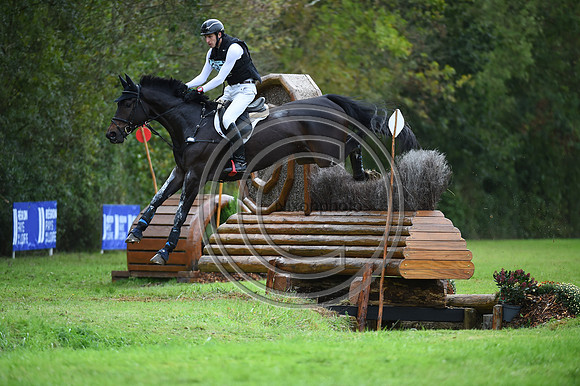Jasper PEETERS_REX MAGNUS_LeLion_PN23_106378