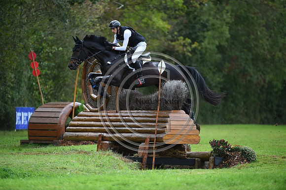 Jasper PEETERS_REX MAGNUS_LeLion_PN23_106376