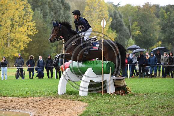 Peter T. FLARUP_H.CARALD Z_LeLion_PN23_106842