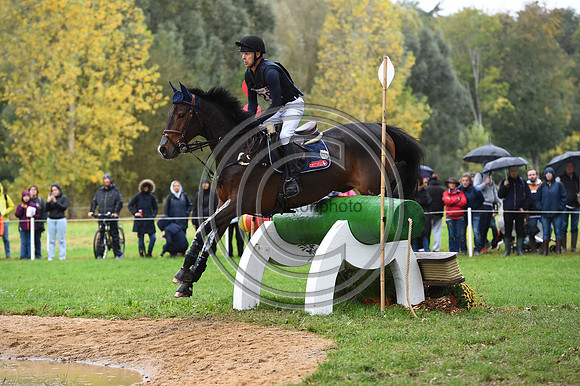 Peter T. FLARUP_H.CARALD Z_LeLion_PN23_106843