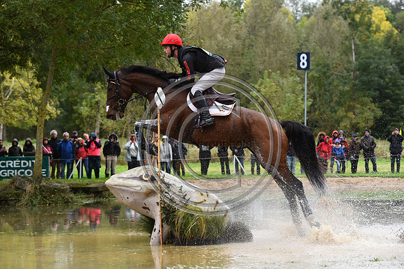 Cyril GAVRILOVIC_GATINE DE L'AUBREE_LeLion_PN23_106778