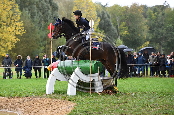 Peter T. FLARUP_H.CARALD Z_LeLion_PN23_106841