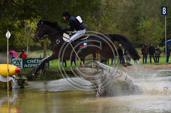 Peter T. FLARUP_H.CARALD Z_LeLion_PN23_106850