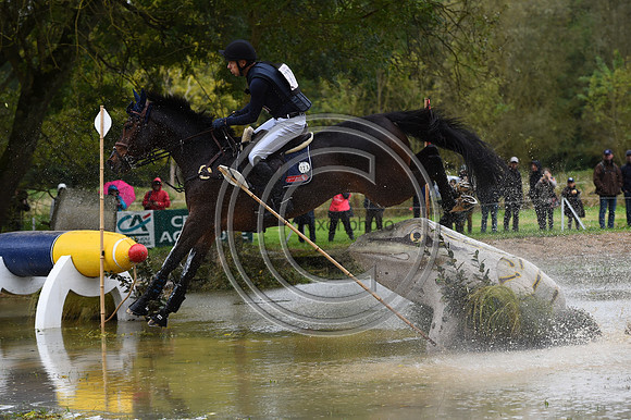 Peter T. FLARUP_H.CARALD Z_LeLion_PN23_106851