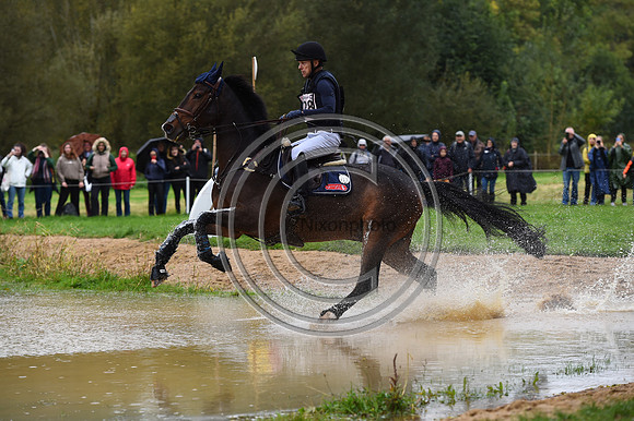 Peter T. FLARUP_H.CARALD Z_LeLion_PN23_106845
