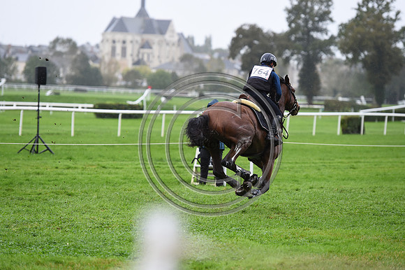 Martina GUERRA_LIPYRUSO H_LeLion_PN23_107202