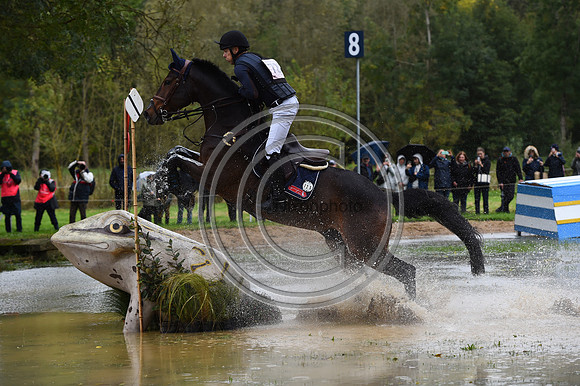 Peter T. FLARUP_H.CARALD Z_LeLion_PN23_106847