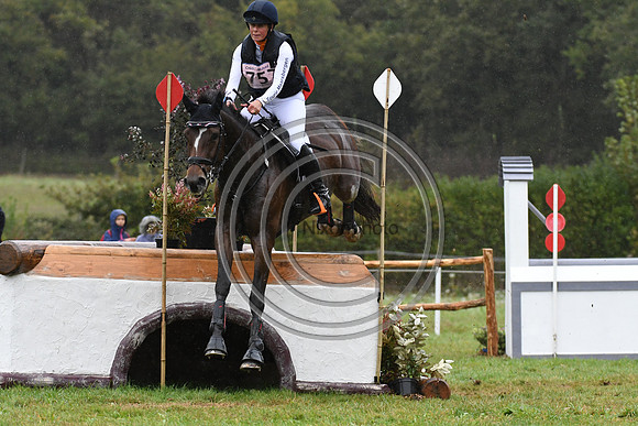 Willemina VAN DER GOES-PETTER_LANCELOT_LeLion_PN23_107118