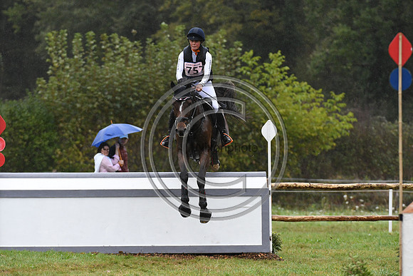 Willemina VAN DER GOES-PETTER_LANCELOT_LeLion_PN23_107109