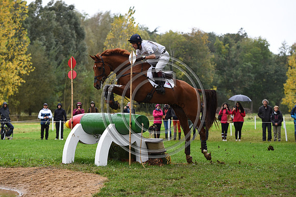 Harry MEADE_AMIRO ISLAND_LeLion_PN23_105701