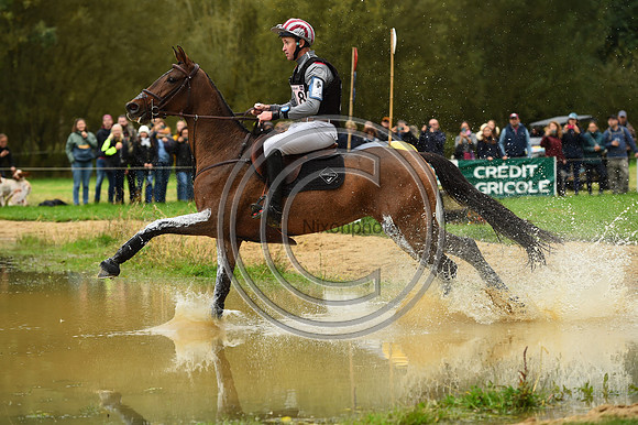 Thomas CARLILE_GOLDEN DE BELIARD_LeLion_PN23_106713