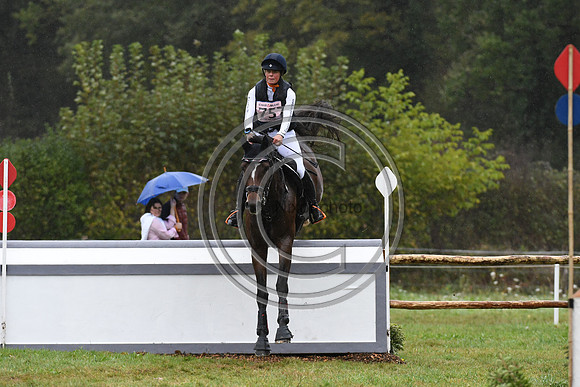Willemina VAN DER GOES-PETTER_LANCELOT_LeLion_PN23_107110