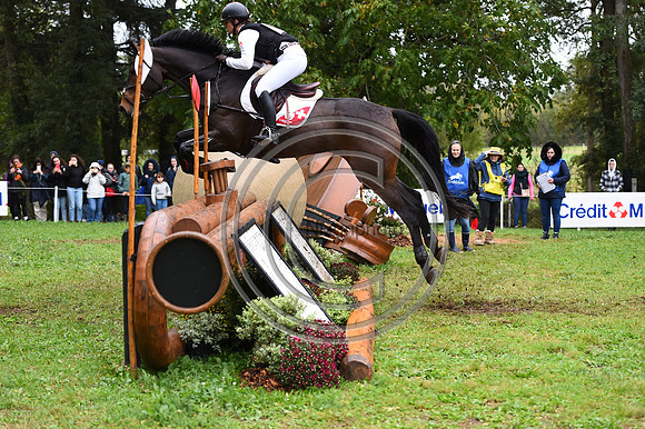 Carla BRUNNER_JE TAIME_LeLion_PN23_107003