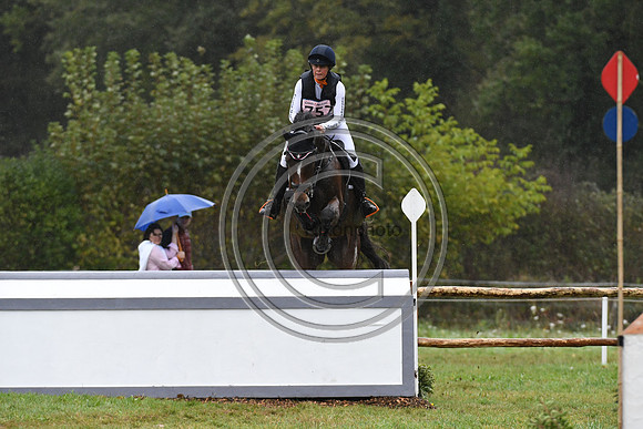 Willemina VAN DER GOES-PETTER_LANCELOT_LeLion_PN23_107107