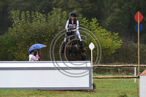 Willemina VAN DER GOES-PETTER_LANCELOT_LeLion_PN23_107106