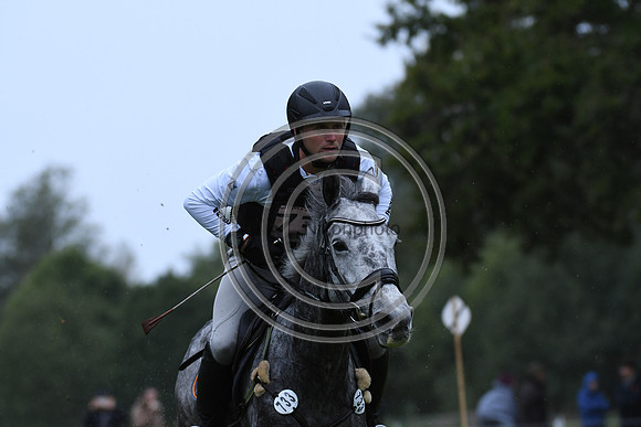 Arne BERGENDAHL_BRONCO 487_LeLion_PN23_106913
