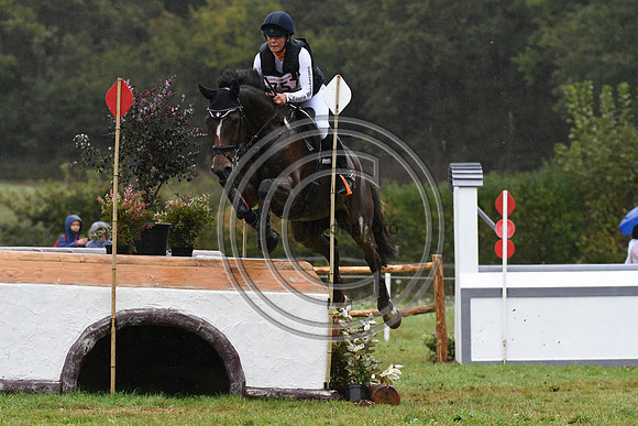 Willemina VAN DER GOES-PETTER_LANCELOT_LeLion_PN23_107116