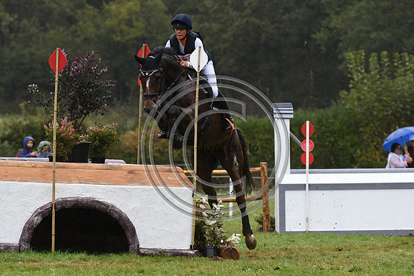Willemina VAN DER GOES-PETTER_LANCELOT_LeLion_PN23_107115