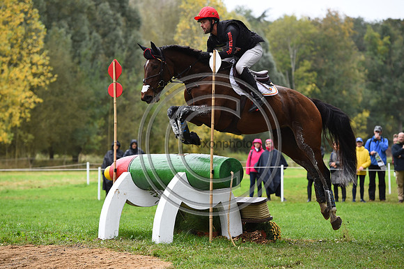 Cyril GAVRILOVIC_GATINE DE L'AUBREE_LeLion_PN23_106771