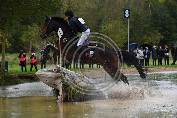 Peter T. FLARUP_H.CARALD Z_LeLion_PN23_106848
