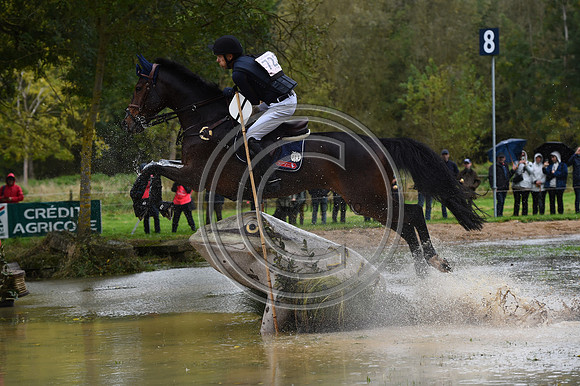 Peter T. FLARUP_H.CARALD Z_LeLion_PN23_106849
