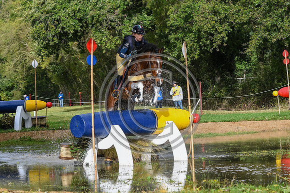 Mondial du Lion