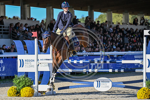 Mondial du Lion