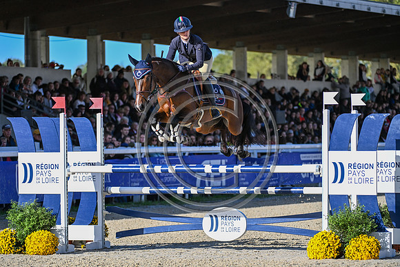 Mondial du Lion