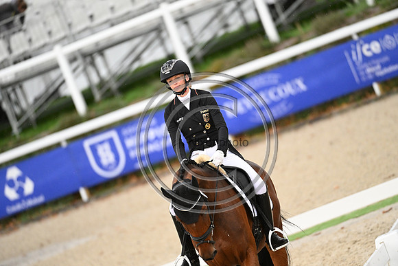 Mondial du Lion