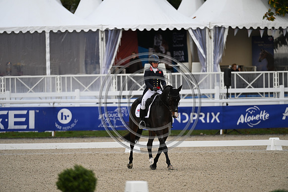 Mondial du Lion