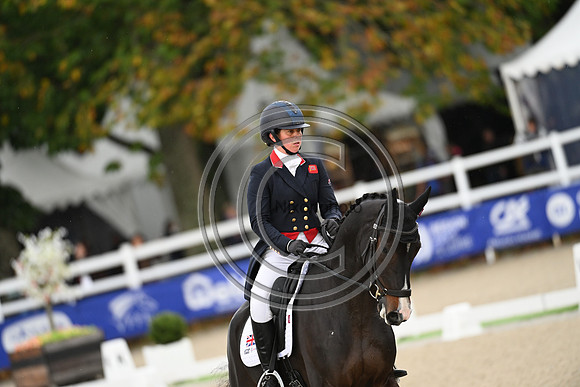 Mondial du Lion