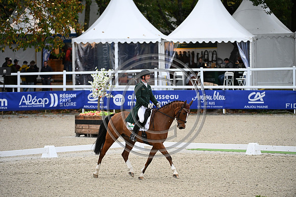 Mondial du Lion