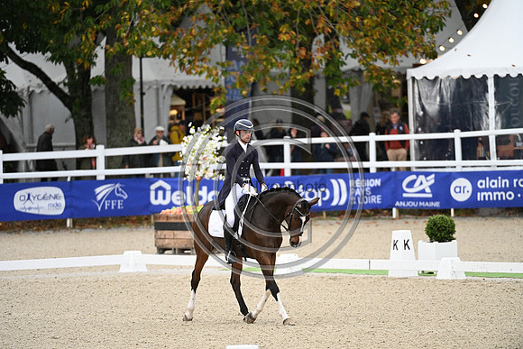 Mondial du Lion