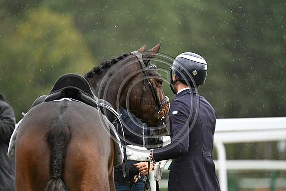 Mondial du Lion