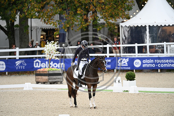Mondial du Lion