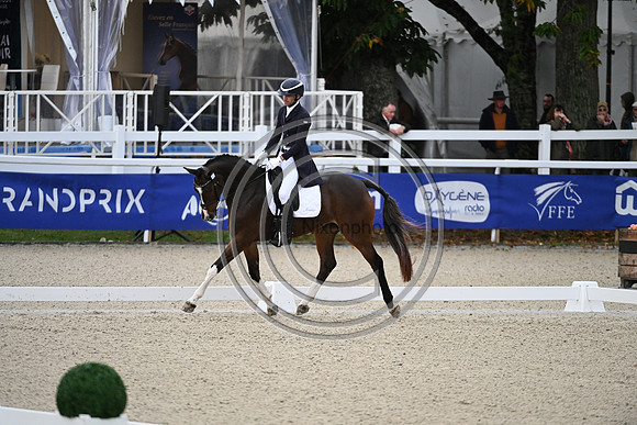 Mondial du Lion