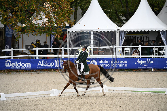 Mondial du Lion