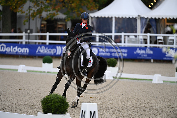 Mondial du Lion
