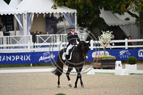 Mondial du Lion
