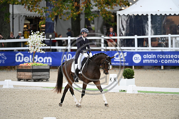 Mondial du Lion