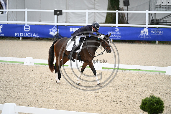 Mondial du Lion