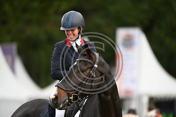 Mondial du Lion