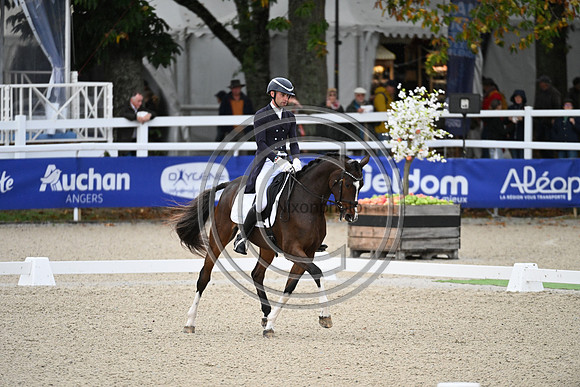 Mondial du Lion