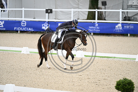 Mondial du Lion