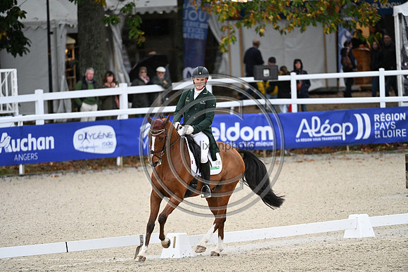 Mondial du Lion