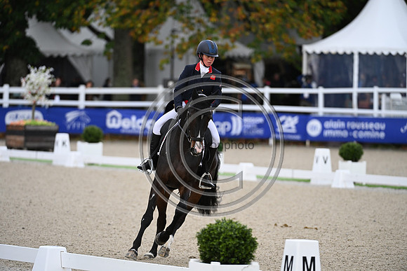 Mondial du Lion
