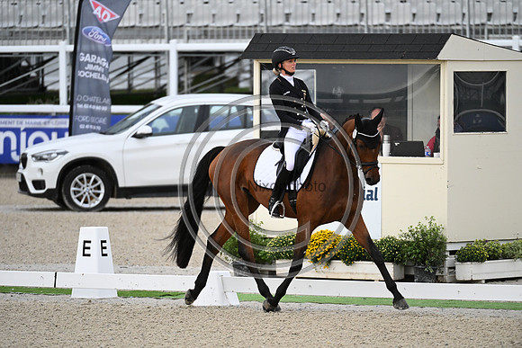 Mondial du Lion